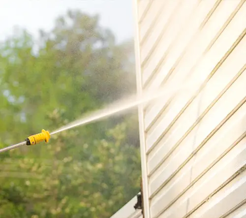 professional house washing services